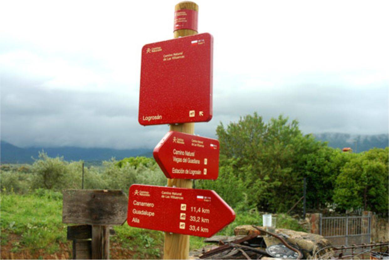 IMPORTACIÓN DE MADERA. PRODUCTOS EN MADERA TRATADA EN AUTOCLAVE ISLAS CANARIAS