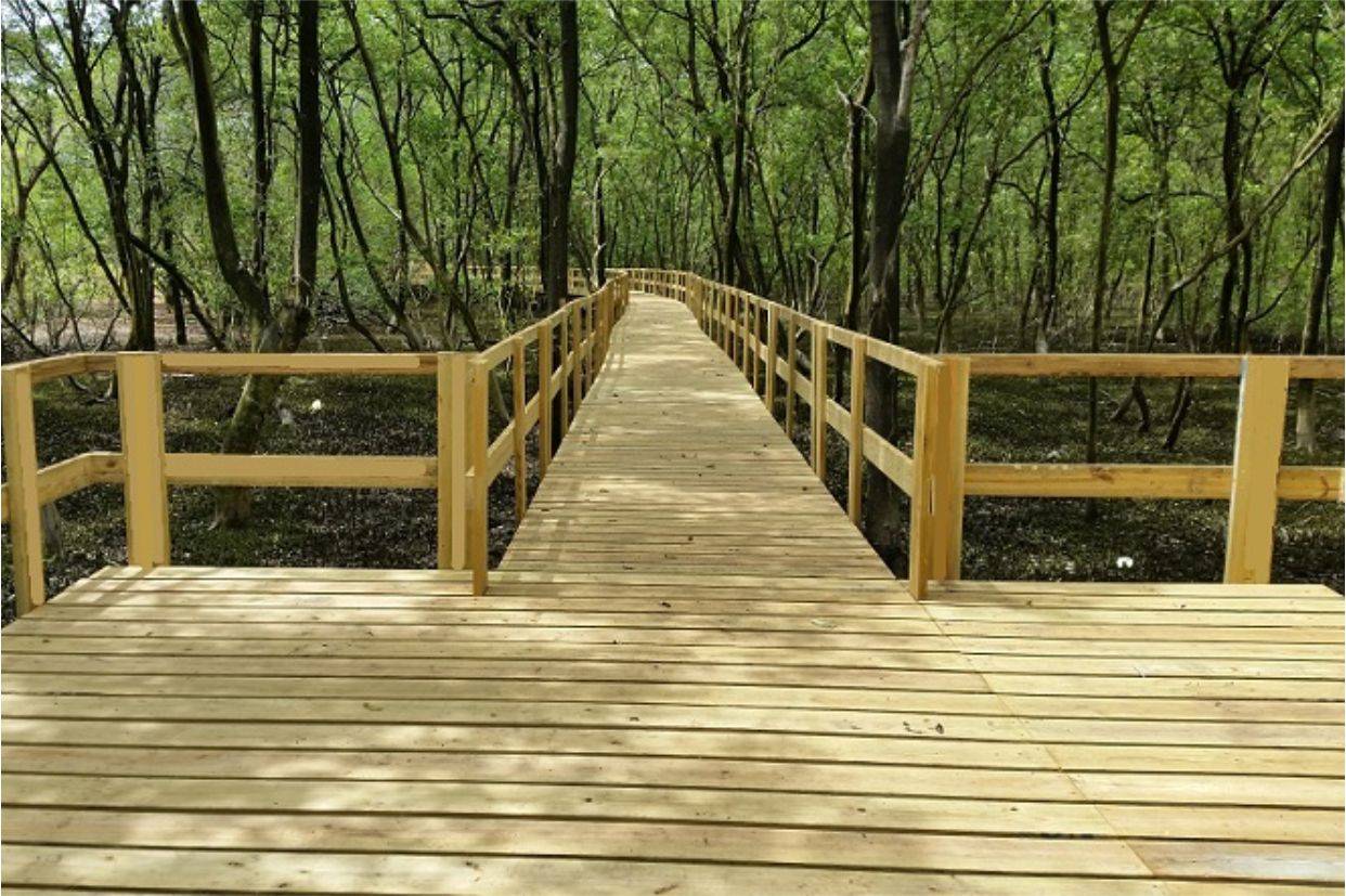 IMPORTACIÓN DE MADERA. PRODUCTOS EN MADERA TRATADA EN AUTOCLAVE ISLAS CANARIAS