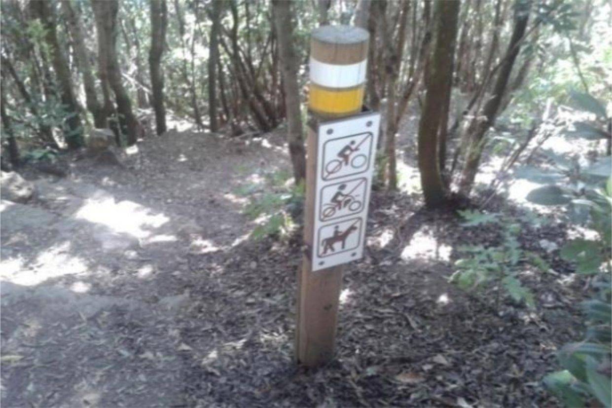 IMPORTACIÓN DE MADERA. PRODUCTOS EN MADERA TRATADA EN AUTOCLAVE ISLAS CANARIAS